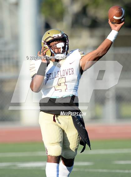 Thumbnail 1 in Bellflower @ Beckman photogallery.
