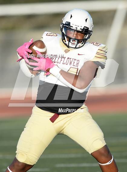 Thumbnail 1 in Bellflower @ Beckman photogallery.