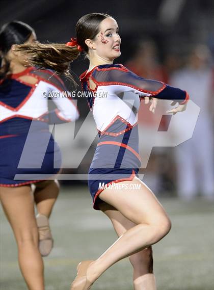 Thumbnail 1 in Bellflower @ Beckman photogallery.