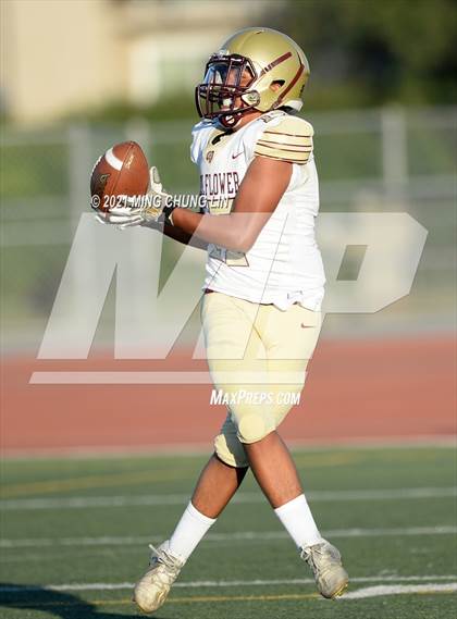 Thumbnail 3 in Bellflower @ Beckman photogallery.