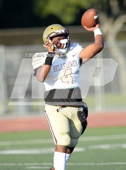 Thumbnail 3 in Bellflower @ Beckman photogallery.