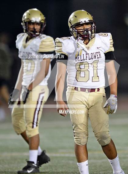 Thumbnail 2 in Bellflower @ Beckman photogallery.