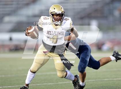 Thumbnail 2 in Bellflower @ Beckman photogallery.