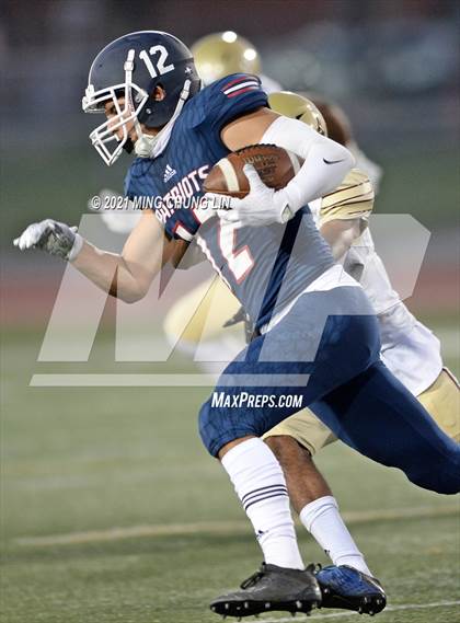 Thumbnail 3 in Bellflower @ Beckman photogallery.