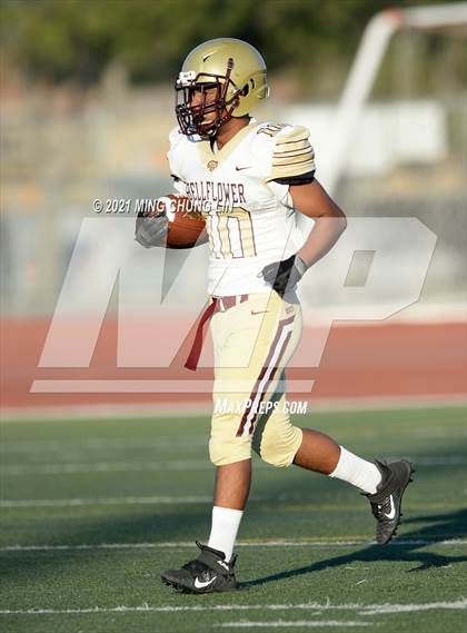Thumbnail 2 in Bellflower @ Beckman photogallery.