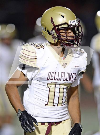 Thumbnail 3 in Bellflower @ Beckman photogallery.