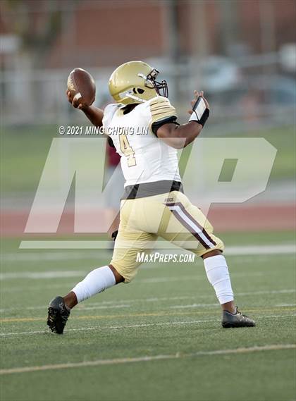 Thumbnail 3 in Bellflower @ Beckman photogallery.
