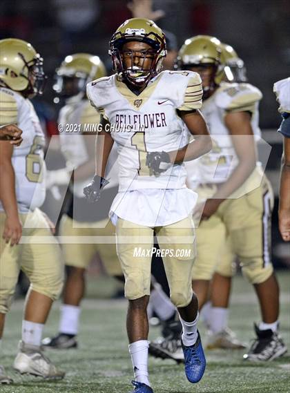 Thumbnail 2 in Bellflower @ Beckman photogallery.