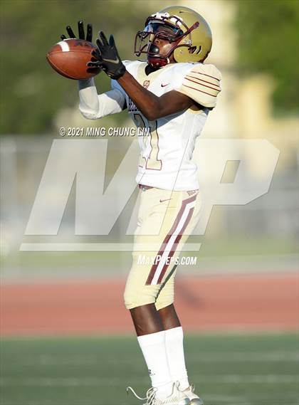 Thumbnail 3 in Bellflower @ Beckman photogallery.