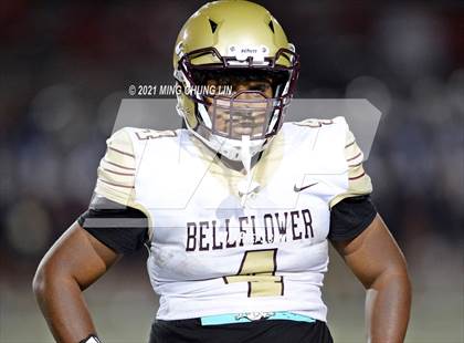 Thumbnail 2 in Bellflower @ Beckman photogallery.