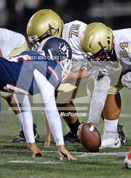 Thumbnail 2 in Bellflower @ Beckman photogallery.