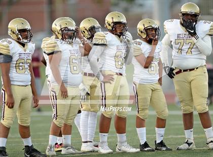 Thumbnail 3 in Bellflower @ Beckman photogallery.