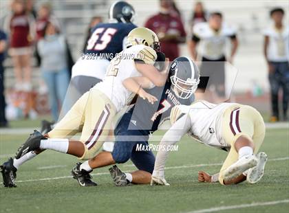 Thumbnail 1 in Bellflower @ Beckman photogallery.