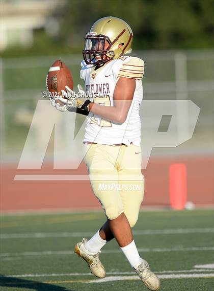 Thumbnail 1 in Bellflower @ Beckman photogallery.