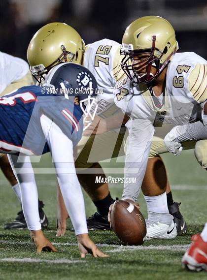 Thumbnail 3 in Bellflower @ Beckman photogallery.