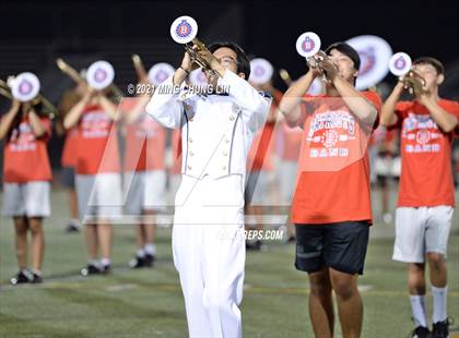 Thumbnail 3 in Bellflower @ Beckman photogallery.