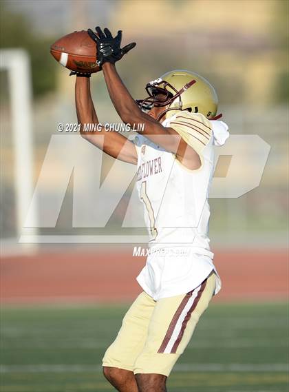 Thumbnail 1 in Bellflower @ Beckman photogallery.