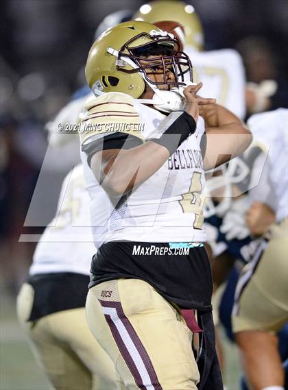 Thumbnail 3 in Bellflower @ Beckman photogallery.
