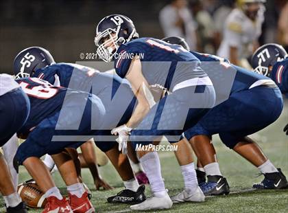 Thumbnail 3 in Bellflower @ Beckman photogallery.