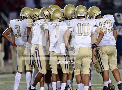 Thumbnail 2 in Bellflower @ Beckman photogallery.