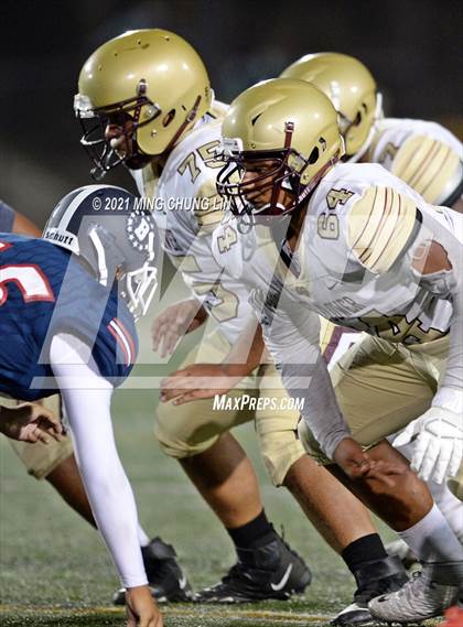 Thumbnail 1 in Bellflower @ Beckman photogallery.