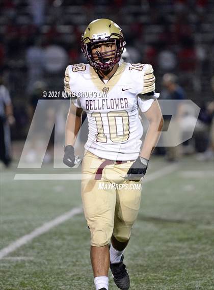 Thumbnail 3 in Bellflower @ Beckman photogallery.