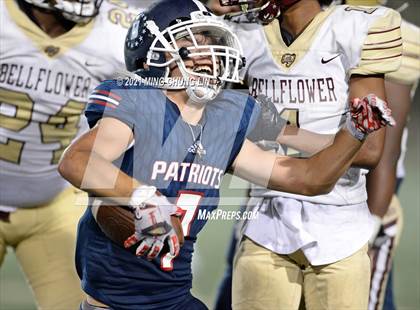 Thumbnail 3 in Bellflower @ Beckman photogallery.