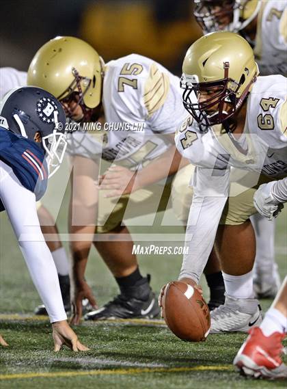 Thumbnail 3 in Bellflower @ Beckman photogallery.