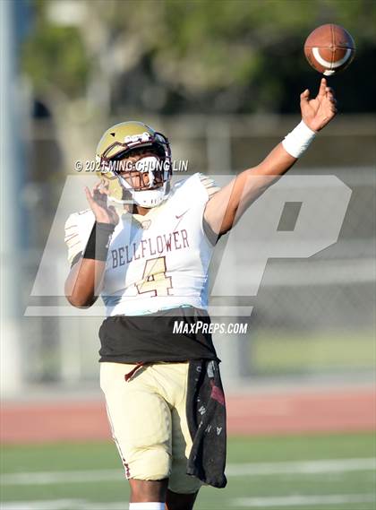 Thumbnail 2 in Bellflower @ Beckman photogallery.