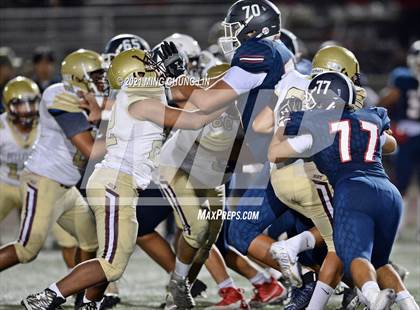Thumbnail 1 in Bellflower @ Beckman photogallery.
