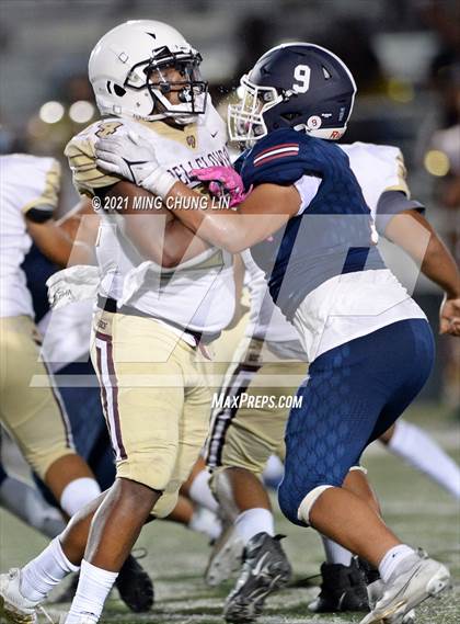 Thumbnail 1 in Bellflower @ Beckman photogallery.