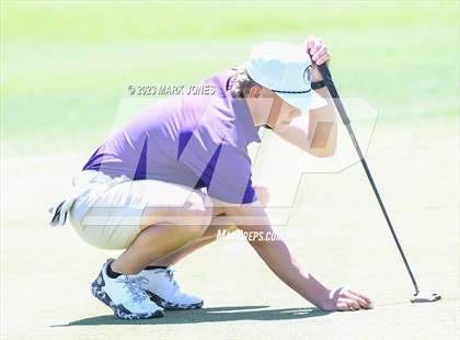 Thumbnail 3 in Metro Invitational Golf Tournament photogallery.