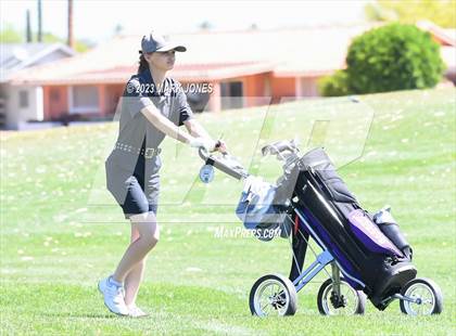 Thumbnail 2 in Metro Invitational Golf Tournament photogallery.