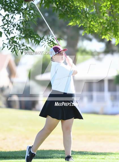 Thumbnail 2 in Metro Invitational Golf Tournament photogallery.