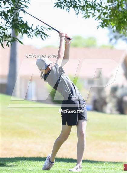Thumbnail 1 in Metro Invitational Golf Tournament photogallery.