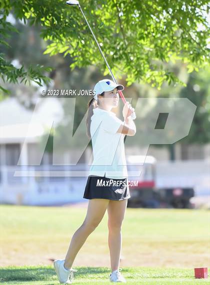 Thumbnail 3 in Metro Invitational Golf Tournament photogallery.