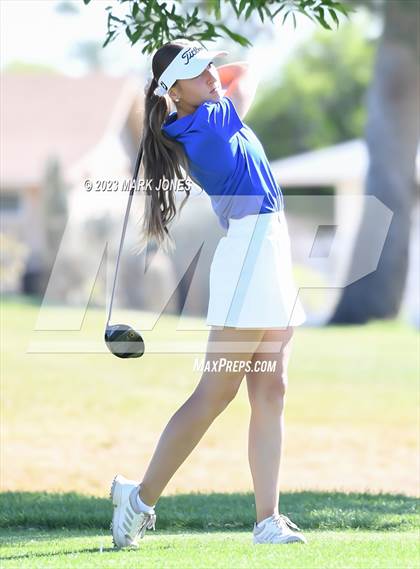 Thumbnail 1 in Metro Invitational Golf Tournament photogallery.