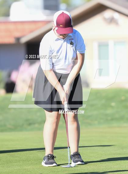 Thumbnail 1 in Metro Invitational Golf Tournament photogallery.
