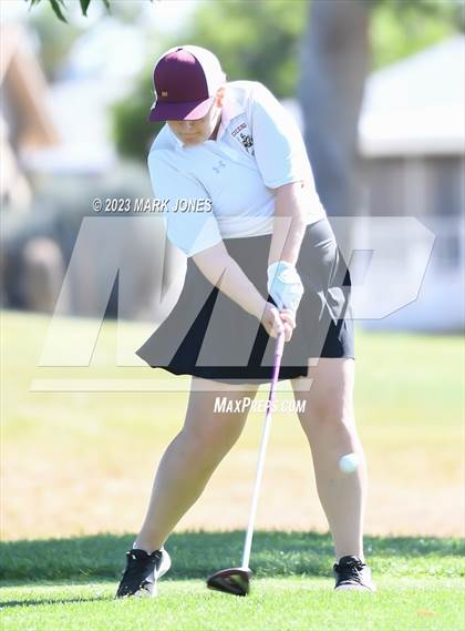 Thumbnail 1 in Metro Invitational Golf Tournament photogallery.