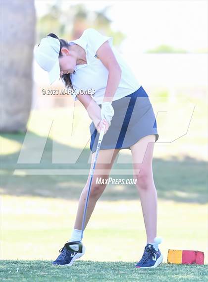 Thumbnail 1 in Metro Invitational Golf Tournament photogallery.