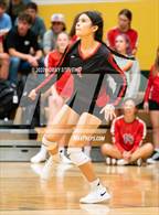 Photo from the gallery "Elizabeth @ Falcon"