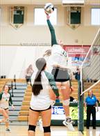 Photo from the gallery "Elizabeth @ Falcon"