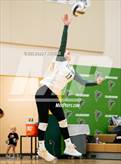 Photo from the gallery "Elizabeth @ Falcon"