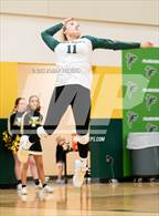 Photo from the gallery "Elizabeth @ Falcon"