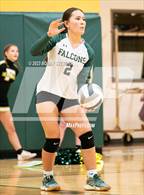 Photo from the gallery "Elizabeth @ Falcon"