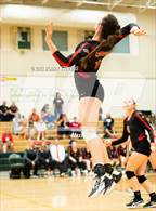 Photo from the gallery "Elizabeth @ Falcon"