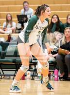 Photo from the gallery "Elizabeth @ Falcon"