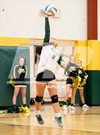 Photo from the gallery "Elizabeth @ Falcon"