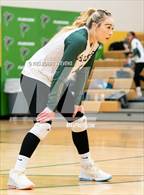 Photo from the gallery "Elizabeth @ Falcon"