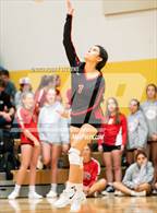 Photo from the gallery "Elizabeth @ Falcon"
